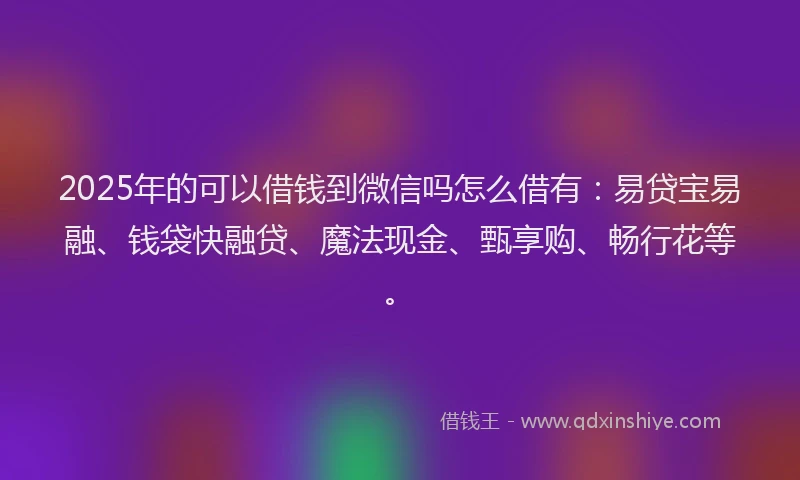 2025年的可以借钱到微信吗怎么借有：易贷宝易融、钱袋快融贷、魔法现金、甄享购、畅行花等。