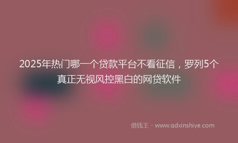 2025年热门哪一个贷款平台不看征信，罗列5个真正无视风控黑白的网贷软件