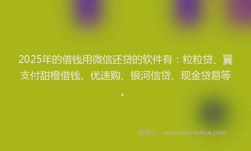 2025年的借钱用微信还贷的软件有：粒粒贷、翼支付甜橙借钱、优速购、银河信贷、现金贷易等。