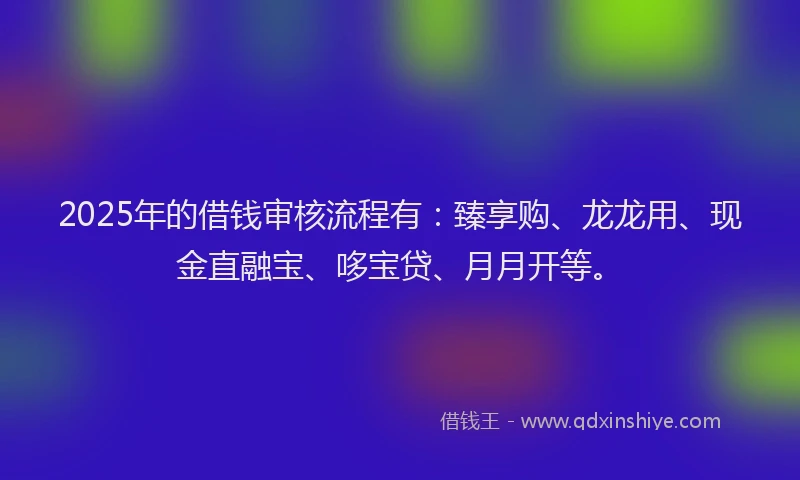 2025年的借钱审核流程有：臻享购、龙龙用、现金直融宝、哆宝贷、月月开等。