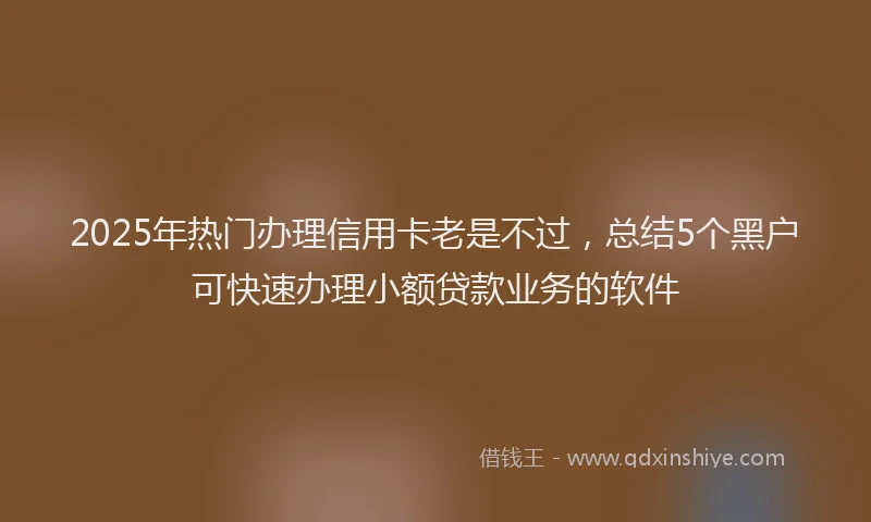 2025年热门办理信用卡老是不过，总结5个黑户可快速办理小额贷款业务的软件