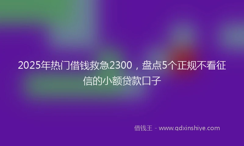 2025年热门借钱救急2300，盘点5个正规不看征信的小额贷款口子
