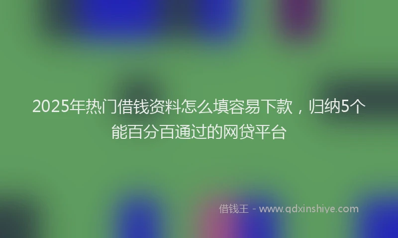 2025年热门借钱资料怎么填容易下款，归纳5个能百分百通过的网贷平台