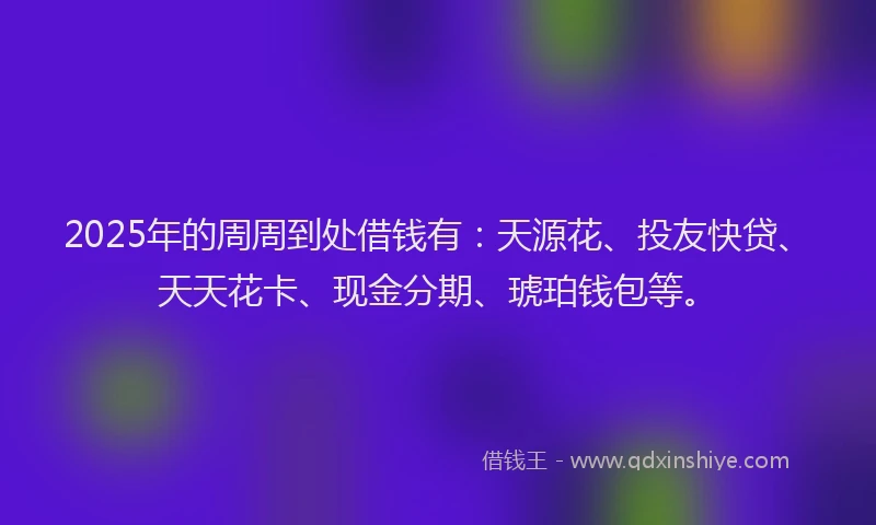 2025年的周周到处借钱有：天源花、投友快贷、天天花卡、现金分期、琥珀钱包等。