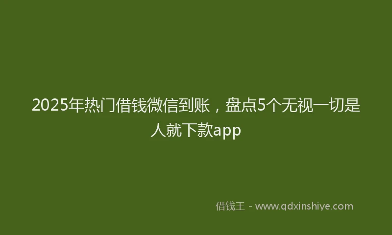 2025年热门借钱微信到账，盘点5个无视一切是人就下款app