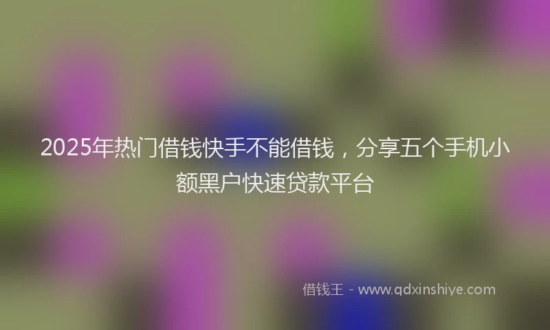 2025年热门借钱快手不能借钱，分享五个手机小额黑户快速贷款平台