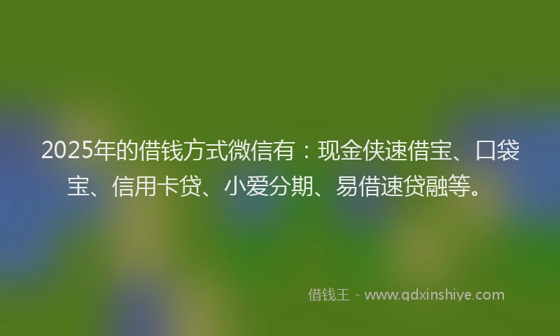 2025年的借钱方式微信有：现金侠速借宝、口袋宝、信用卡贷、小爱分期、易借速贷融等。