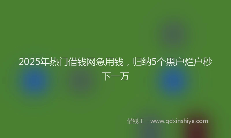 2025年热门借钱网急用钱，归纳5个黑户烂户秒下一万
