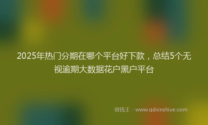 2025年热门分期在哪个平台好下款，总结5个无视逾期大数据花户黑户平台
