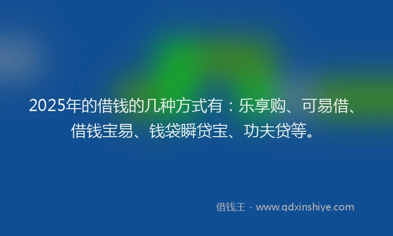 2025年的借钱的几种方式有：乐享购、可易借、借钱宝易、钱袋瞬贷宝、功夫贷等。