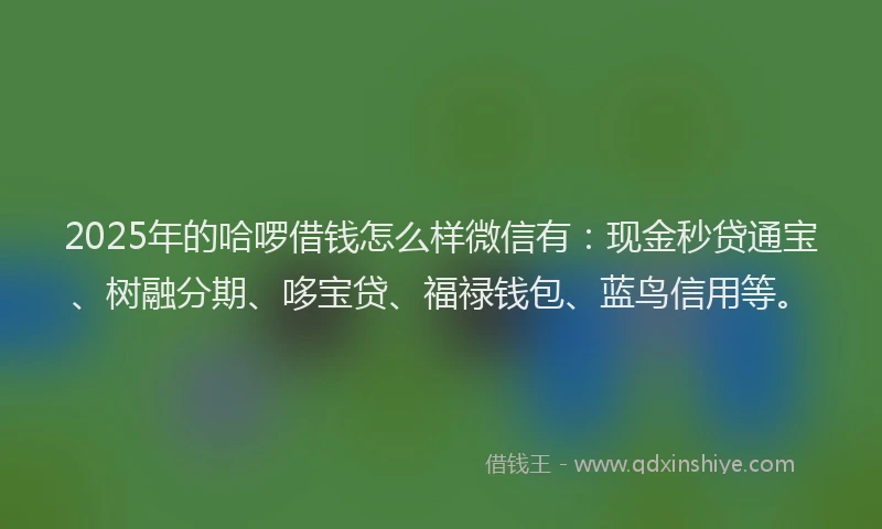 2025年的哈啰借钱怎么样微信有：现金秒贷通宝、树融分期、哆宝贷、福禄钱包、蓝鸟信用等。