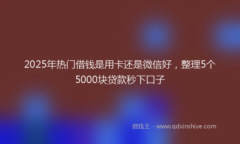 2025年热门借钱是用卡还是微信好，整理5个5000块贷款秒下口子
