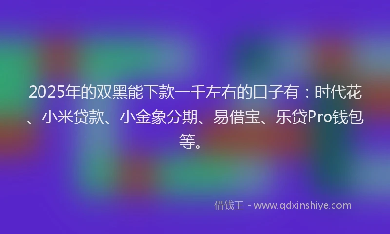 2025年的双黑能下款一千左右的口子有：时代花、小米贷款、小金象分期、易借宝、乐贷Pro钱包等。