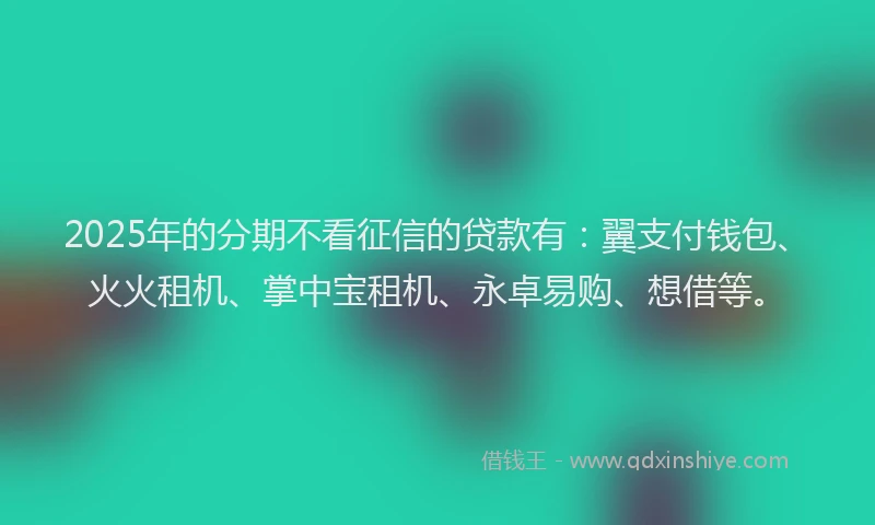 2025年的分期不看征信的贷款有：翼支付钱包、火火租机、掌中宝租机、永卓易购、想借等。