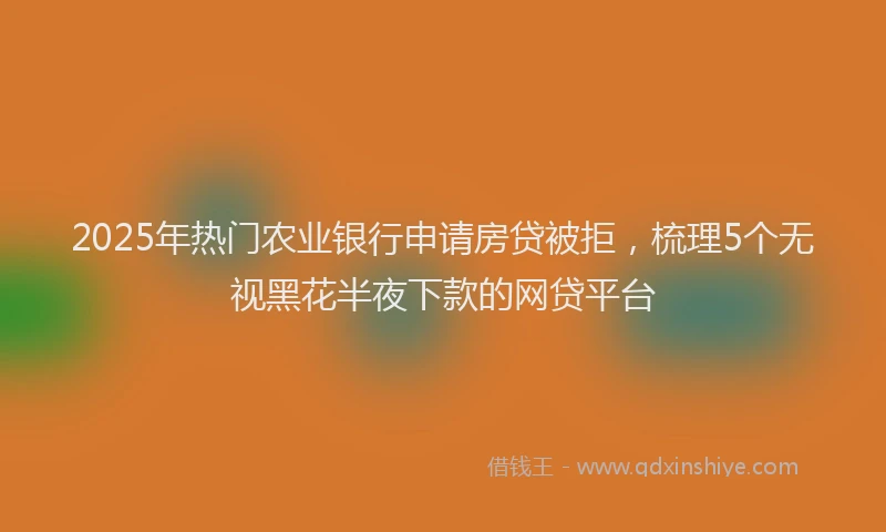 2025年热门农业银行申请房贷被拒，梳理5个无视黑花半夜下款的网贷平台