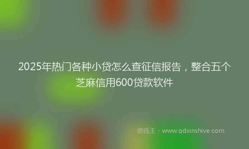 2025年热门各种小贷怎么查征信报告，整合五个芝麻信用600贷款软件