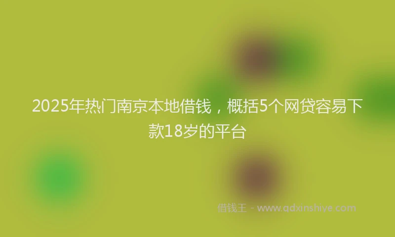 2025年热门南京本地借钱，概括5个网贷容易下款18岁的平台
