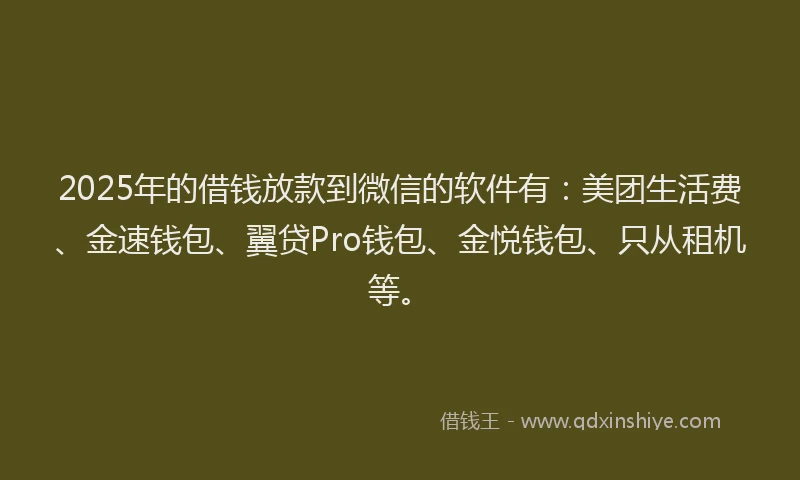 2025年的借钱放款到微信的软件有：美团生活费、金速钱包、翼贷Pro钱包、金悦钱包、只从租机等。