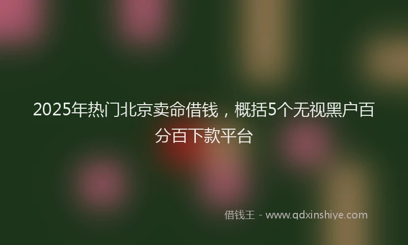 2025年热门北京卖命借钱，概括5个无视黑户百分百下款平台