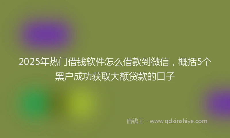 2025年热门借钱软件怎么借款到微信，概括5个黑户成功获取大额贷款的口子