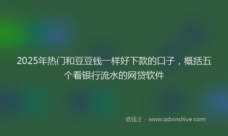 2025年热门和豆豆钱一样好下款的口子，概括五个看银行流水的网贷软件