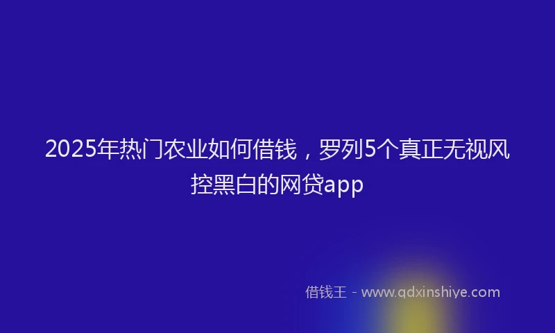 2025年热门农业如何借钱，罗列5个真正无视风控黑白的网贷app