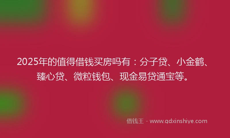 2025年的值得借钱买房吗有：分子贷、小金鹤、臻心贷、微粒钱包、现金易贷通宝等。