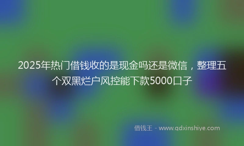 2025年热门借钱收的是现金吗还是微信，整理五个双黑烂户风控能下款5000口子