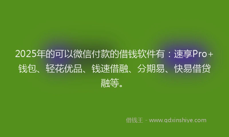 2025年的可以微信付款的借钱软件有：速享Pro+钱包、轻花优品、钱速借融、分期易、快易借贷融等。