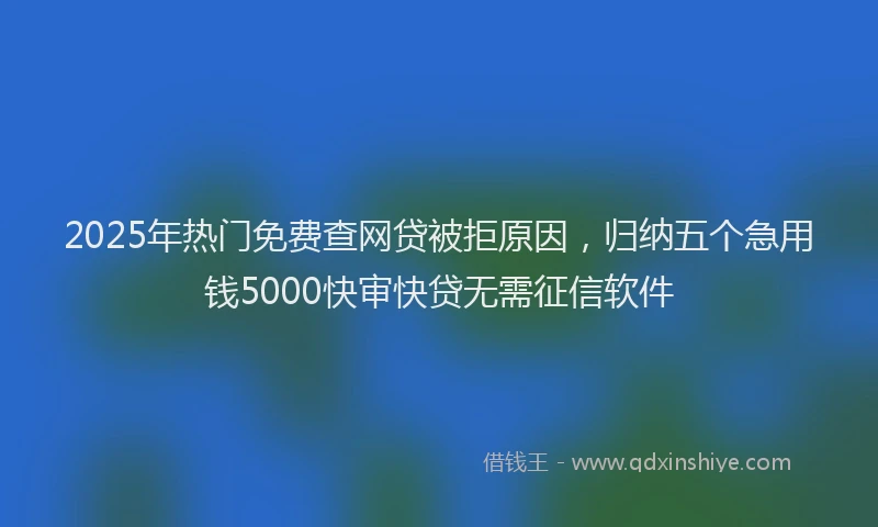 2025年热门免费查网贷被拒原因，归纳五个急用钱5000快审快贷无需征信软件