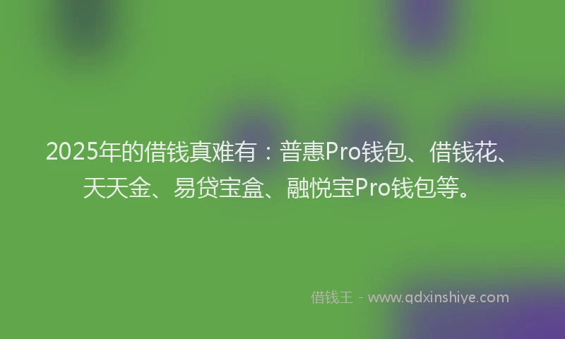 2025年的借钱真难有：普惠Pro钱包、借钱花、天天金、易贷宝盒、融悦宝Pro钱包等。