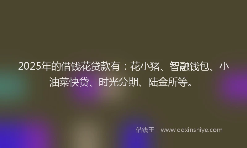 2025年的借钱花贷款有：花小猪、智融钱包、小油菜快贷、时光分期、陆金所等。