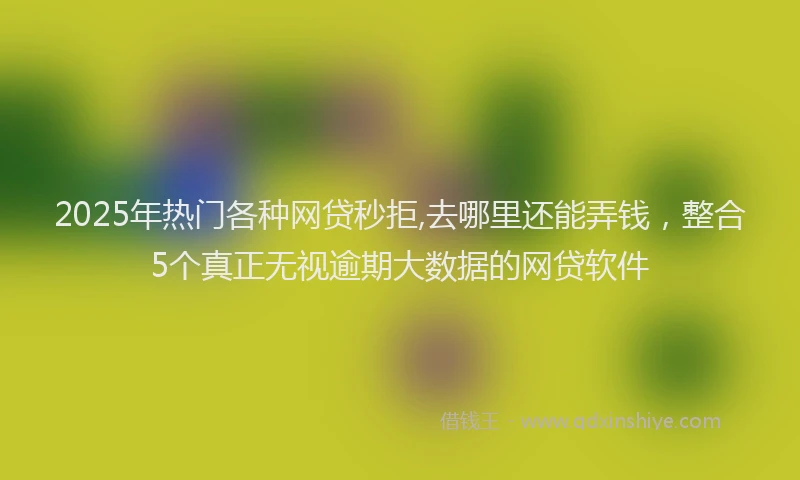 2025年热门各种网贷秒拒,去哪里还能弄钱，整合5个真正无视逾期大数据的网贷软件