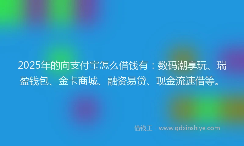 2025年的向支付宝怎么借钱有：数码潮享玩、瑞盈钱包、金卡商城、融资易贷、现金流速借等。