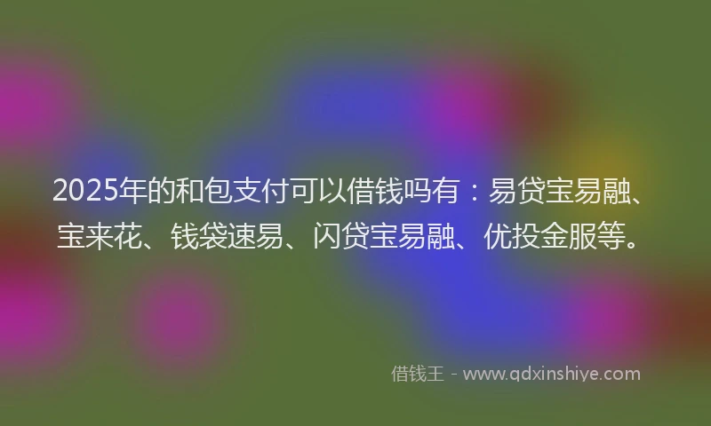 2025年的和包支付可以借钱吗有：易贷宝易融、宝来花、钱袋速易、闪贷宝易融、优投金服等。