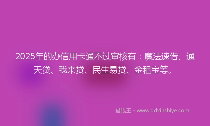 2025年的办信用卡通不过审核有：魔法速借、通天贷、我来贷、民生易贷、金租宝等。
