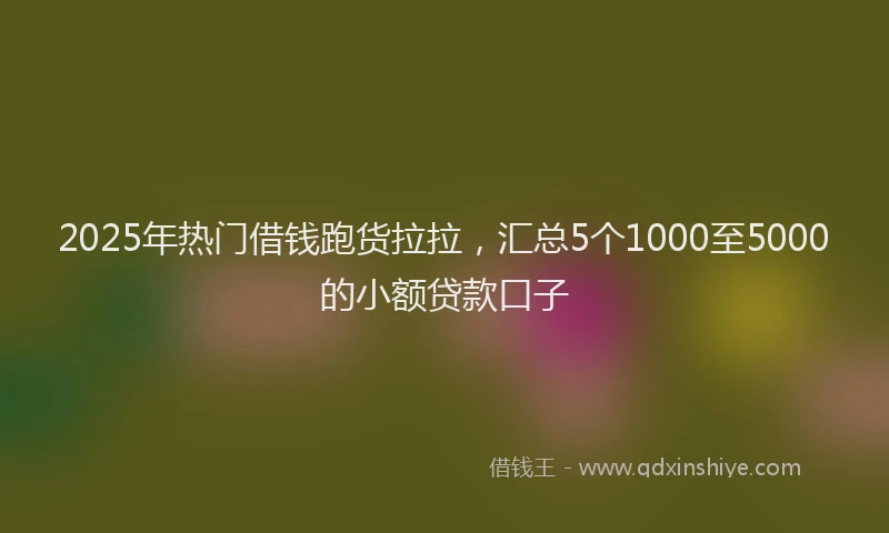2025年热门借钱跑货拉拉，汇总5个1000至5000的小额贷款口子