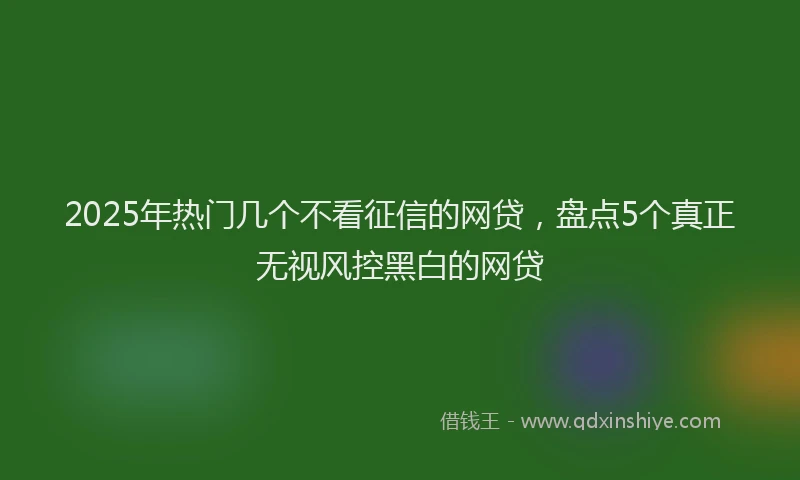 2025年热门几个不看征信的网贷，盘点5个真正无视风控黑白的网贷