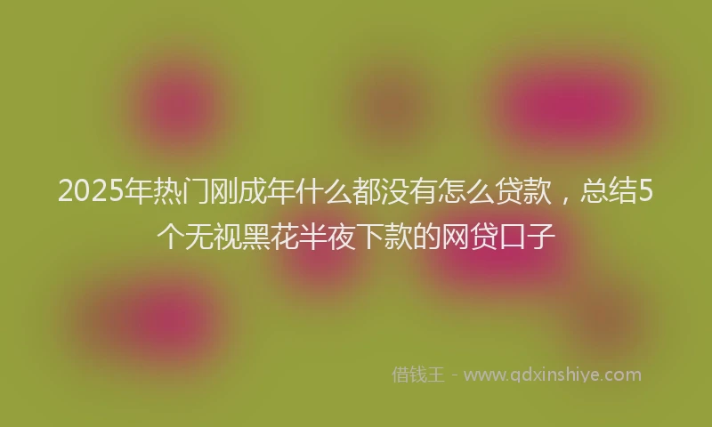 2025年热门刚成年什么都没有怎么贷款，总结5个无视黑花半夜下款的网贷口子