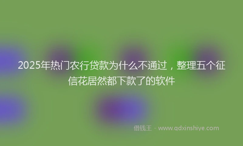 2025年热门农行贷款为什么不通过，整理五个征信花居然都下款了的软件