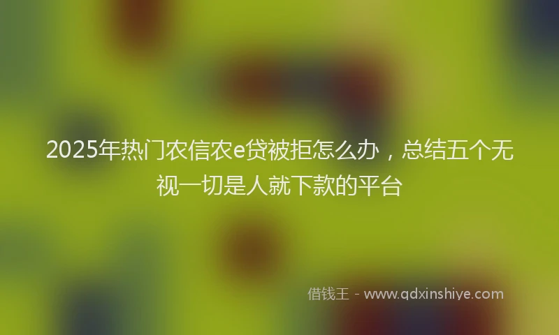 2025年热门农信农e贷被拒怎么办，总结五个无视一切是人就下款的平台