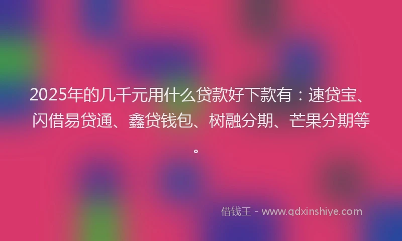 2025年的几千元用什么贷款好下款有：速贷宝、闪借易贷通、鑫贷钱包、树融分期、芒果分期等。