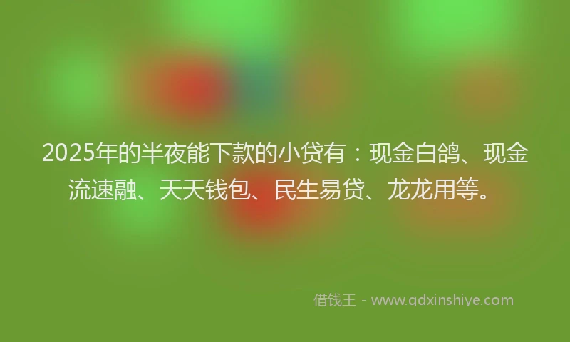 2025年的半夜能下款的小贷有：现金白鸽、现金流速融、天天钱包、民生易贷、龙龙用等。