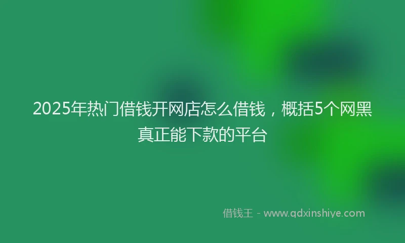 2025年热门借钱开网店怎么借钱，概括5个网黑真正能下款的平台