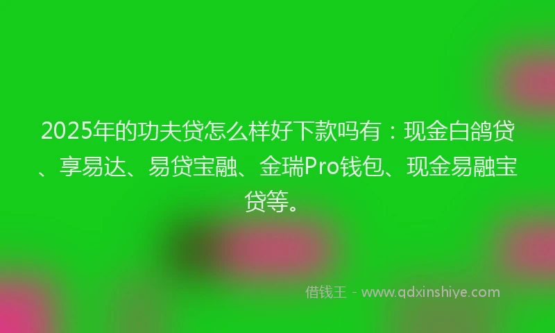 2025年的功夫贷怎么样好下款吗有:现金白鸽贷、享易达、易贷宝融、金瑞Pro钱包、现金易融宝贷等。