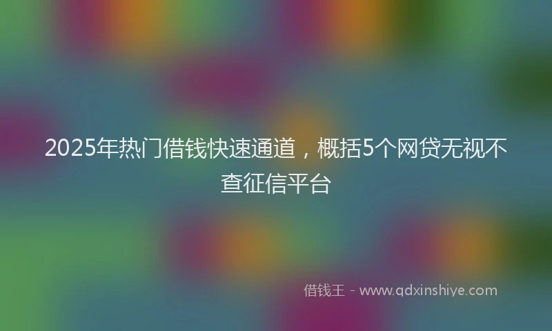 2025年热门借钱快速通道，概括5个网贷无视不查征信平台