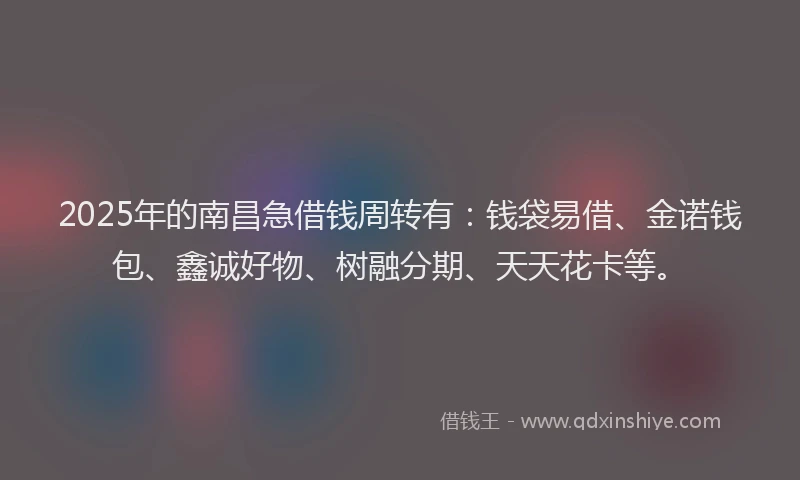 2025年的南昌急借钱周转有：钱袋易借、金诺钱包、鑫诚好物、树融分期、天天花卡等。