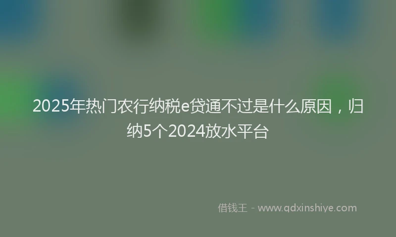 2025年热门农行纳税e贷通不过是什么原因，归纳5个2024放水平台