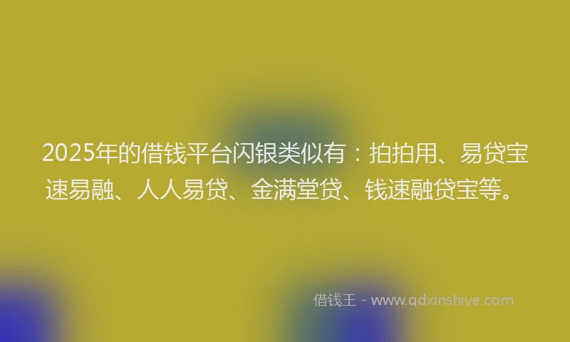 2025年的借钱平台闪银类似有：拍拍用、易贷宝速易融、人人易贷、金满堂贷、钱速融贷宝等。