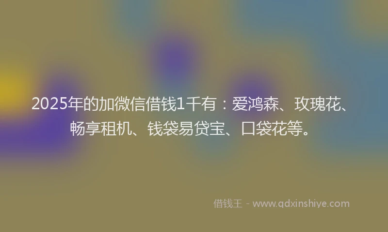 2025年的加微信借钱1千有：爱鸿森、玫瑰花、畅享租机、钱袋易贷宝、口袋花等。